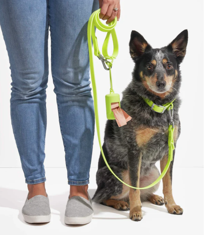 Wild One Collar - X Small - Limeade **Limited Edition** - Image 2